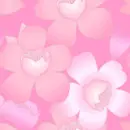 Pink and Lt. Pink Flowers