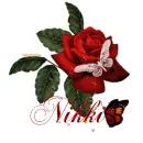 Rose with name Nikki