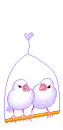 VÃ¶gel