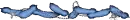 blue leaves divider