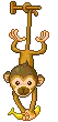 monkey with banana