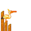 bird