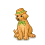labrador