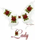 Lady