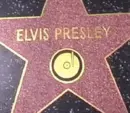 elvis