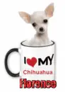Florence I love my chihuahua