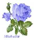 Michelle blue roses