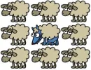 sheep, kukuxumusu