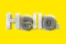 hello