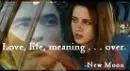 New Moon Line