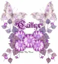 Caitlyn