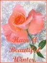 Have A Beautiful Winter 