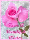 Have A Beautiful Winter 