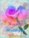 Have A Beautiful Winter 