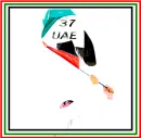 UAE National Flag