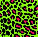 lime greeen nd hot pink leopard 