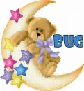 Bug