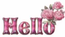 hello