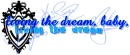 Jonas Brothers