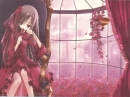Beautiful Roses