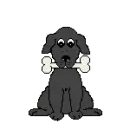 a dog with bone
