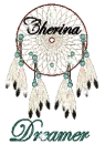 Dream Catcher
