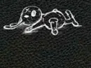 died rabbit