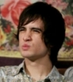 brendon urie icon