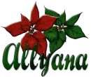 Christmas flowers- Allyana