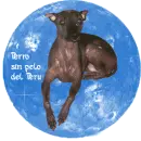 Perro sin pelo del Peru