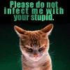 pissed cat