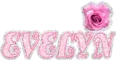Evelyn Pink Rose