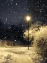 snow