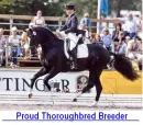 Thoroughbred breeder