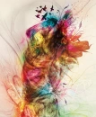 Colorful