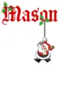 Mason