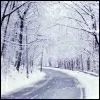 The Winter Road