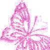 pink butterfly