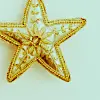 Christmas Star
