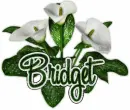 Bridget