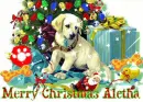 ALETHA