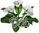 Dinah