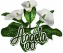 Aggela