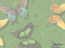butterflies