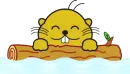 Beaver