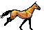 horse14