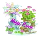 hugs pami