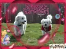 dogs friends forever