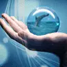 dream