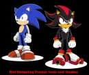 Sonic Project 